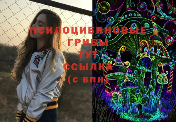 дмт Елизово