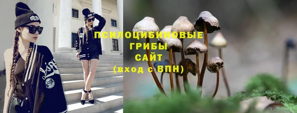 СК Ельня