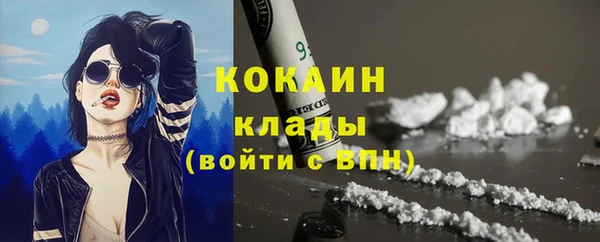 СК Ельня