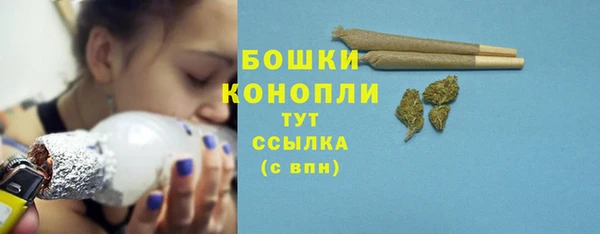 СК Ельня